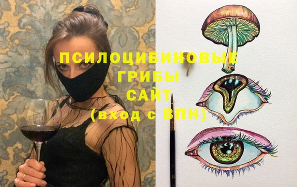 PSILOCYBIN Армянск