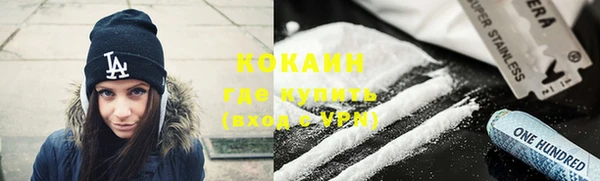 индика Алзамай