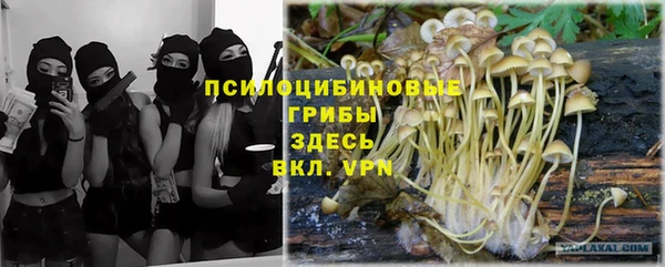 мет Арсеньев