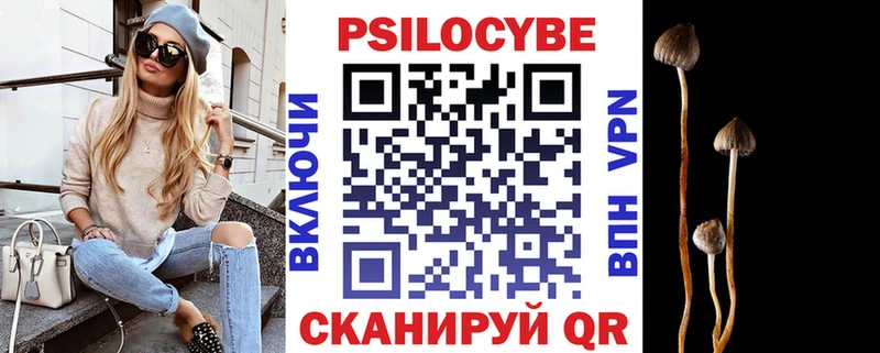 Галлюциногенные грибы Psilocybe  Оханск 